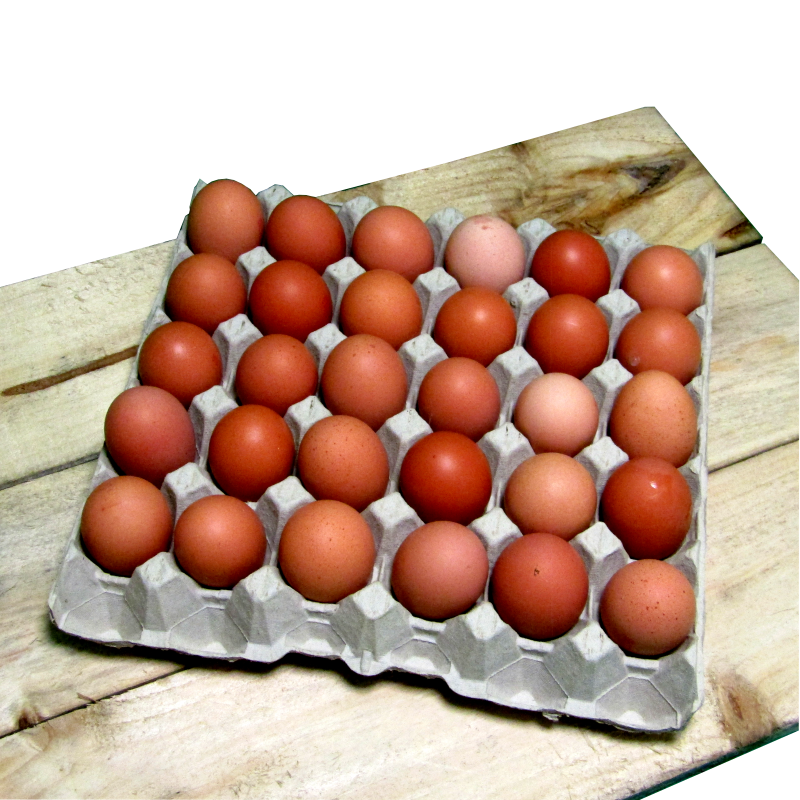 Tray of Eggs (30 eggs)